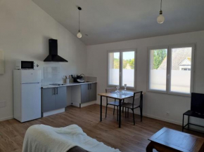 Grand appartement, lumineux